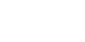 dress for success logo